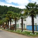 Monumento Natural Contulmo