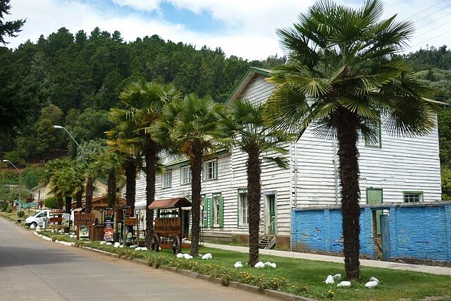 Monumento Natural Contulmo
