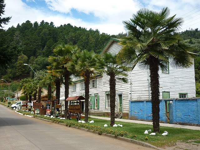 Monumento Natural Contulmo
