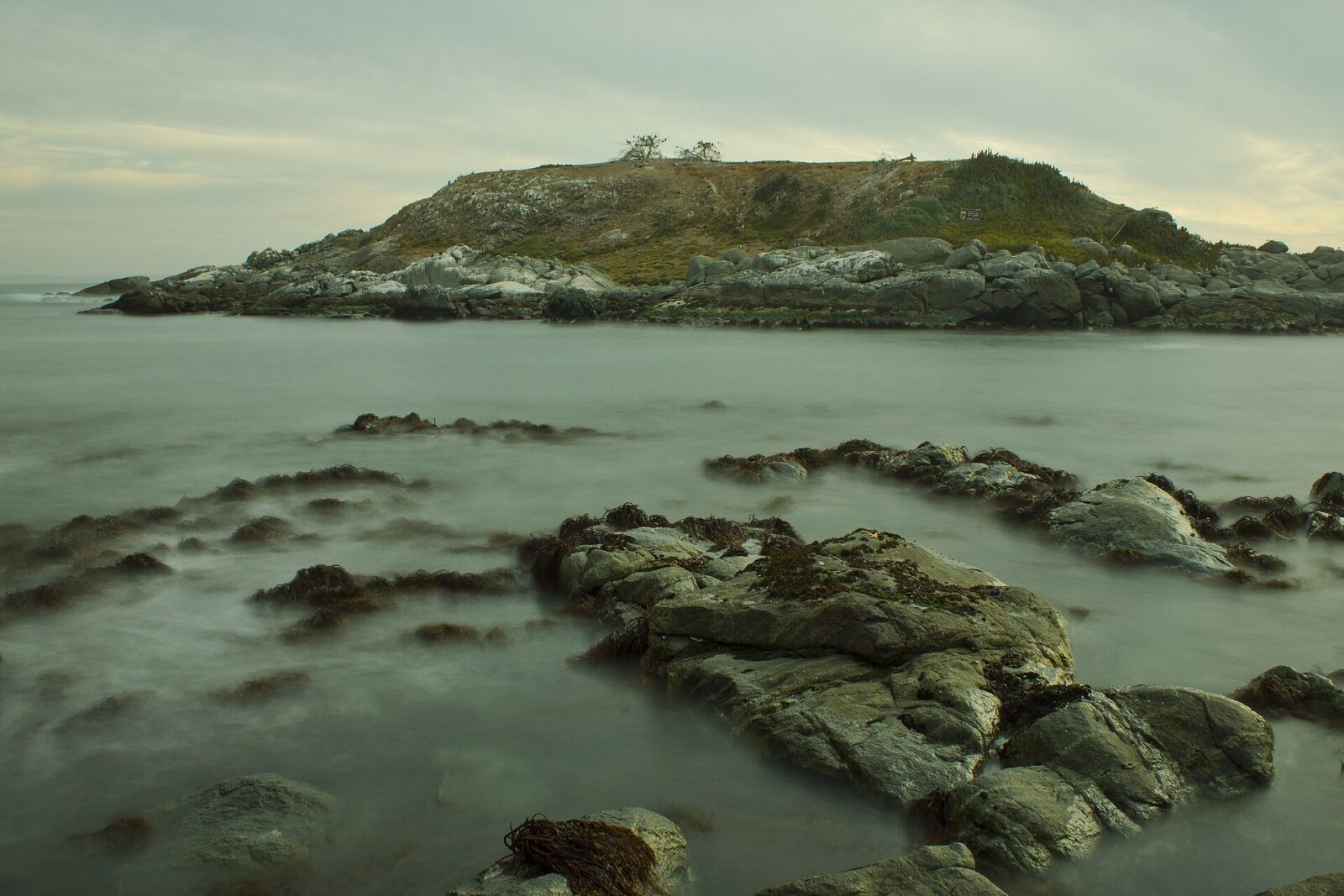 Monumento Natural Isla Cachagua