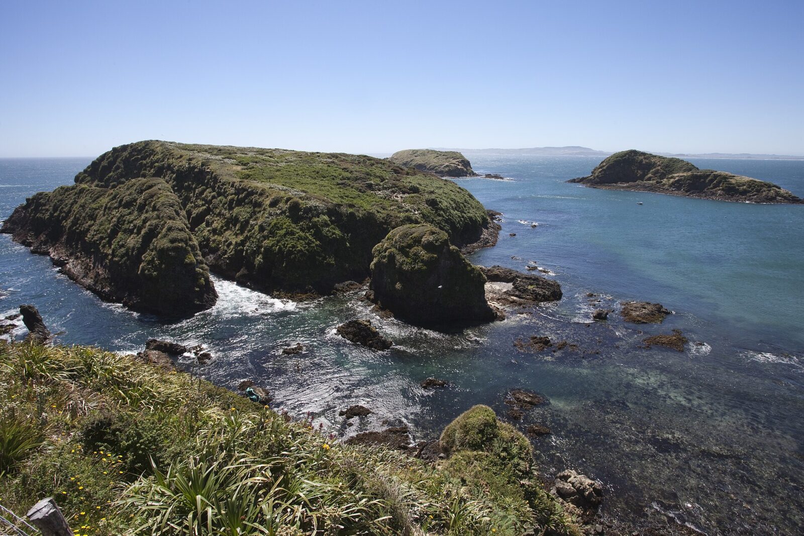 Monumento Natural Islotes de Puñihuil