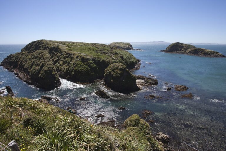 Monumento Natural Islotes de Puñihuil