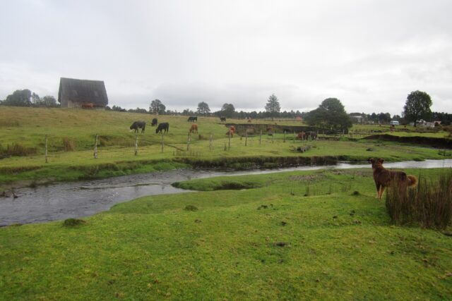 Monumento Natural Lahuen Ñadi