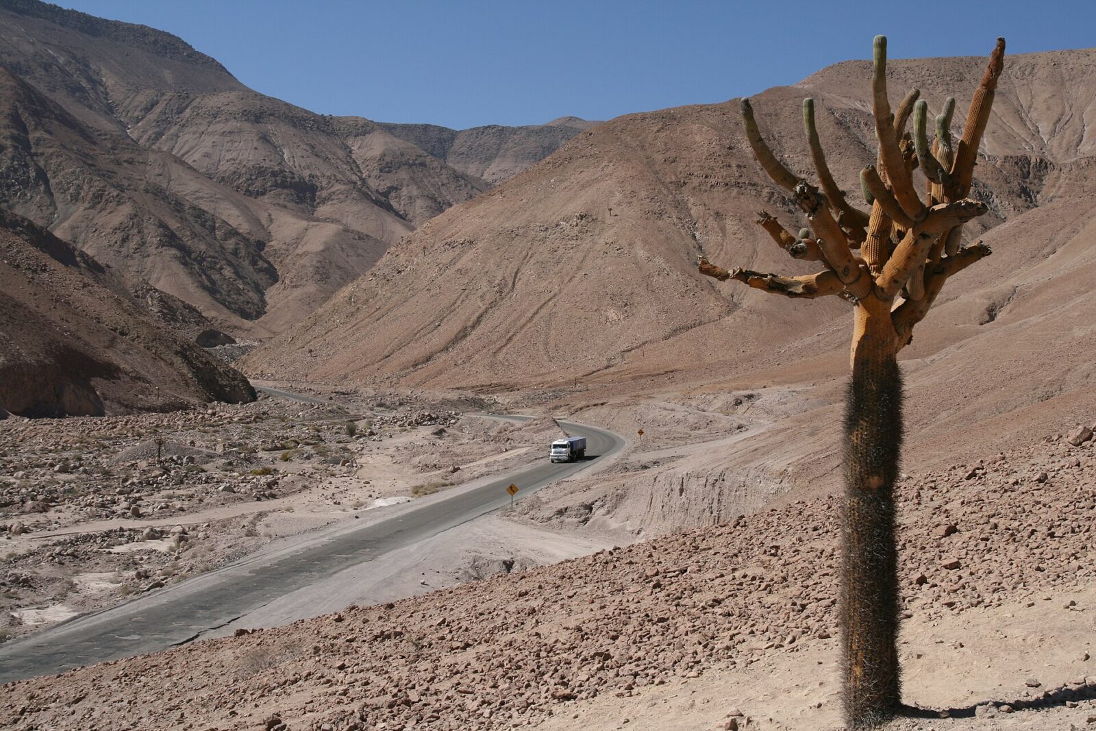 Monumento Natural Quebrada de Cardones