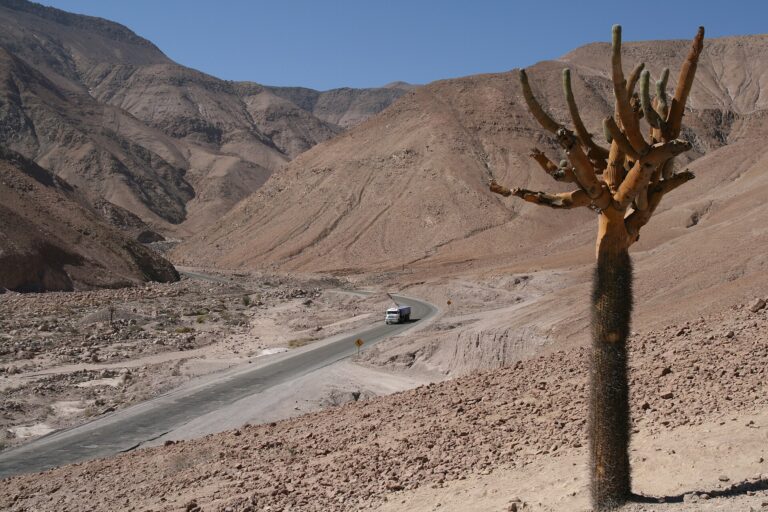 Monumento Natural Quebrada de Cardones
