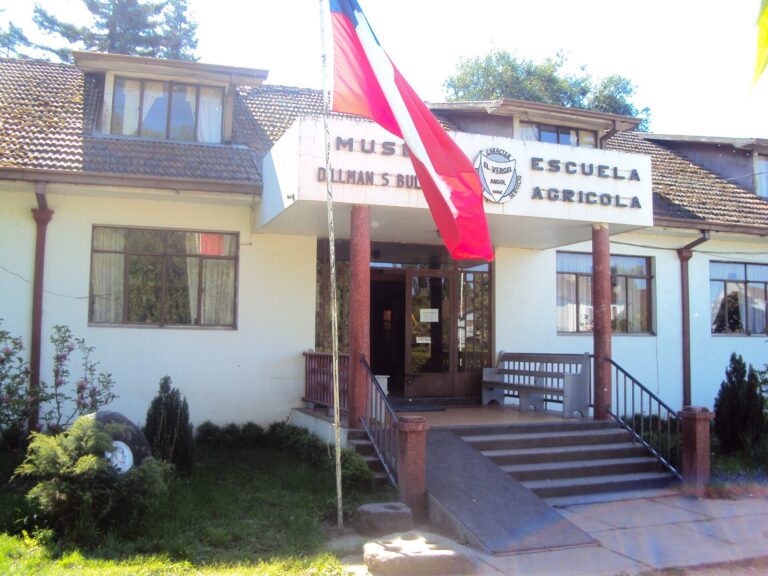 Museo Dillman Bullock