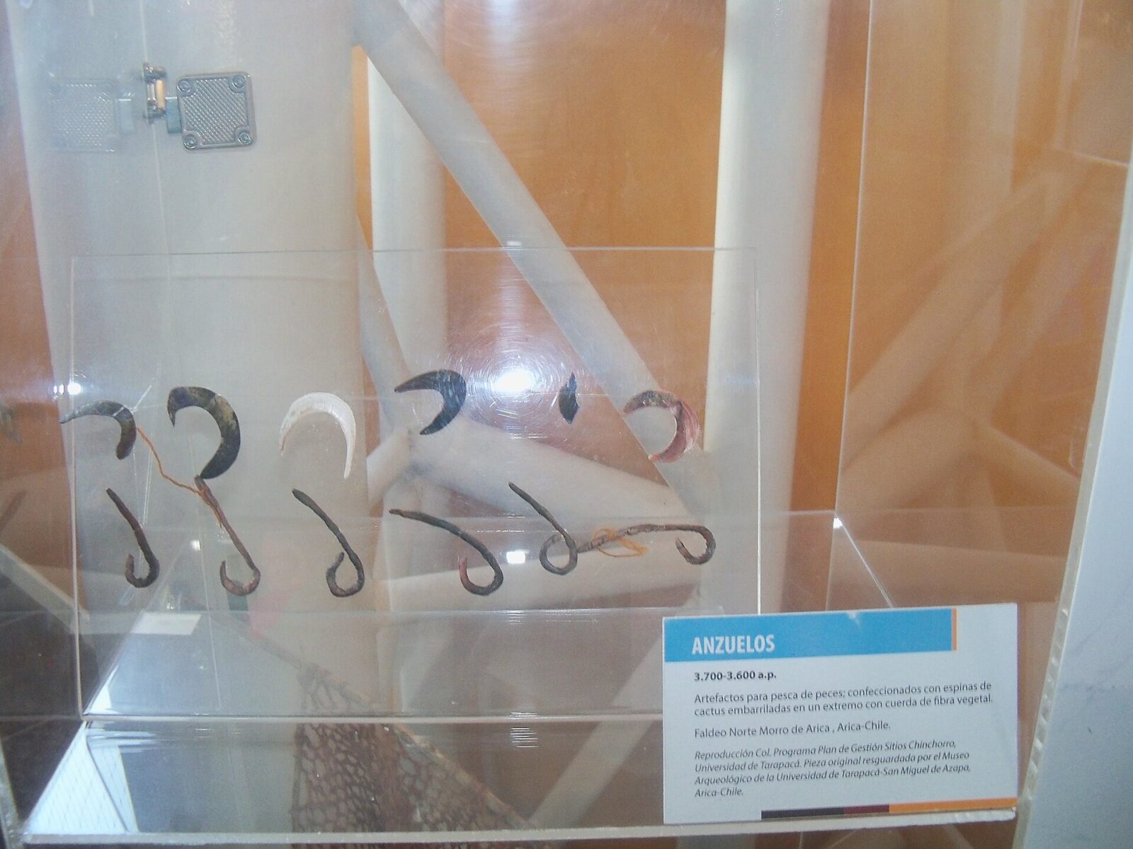 Museo de Sitio Colón 10