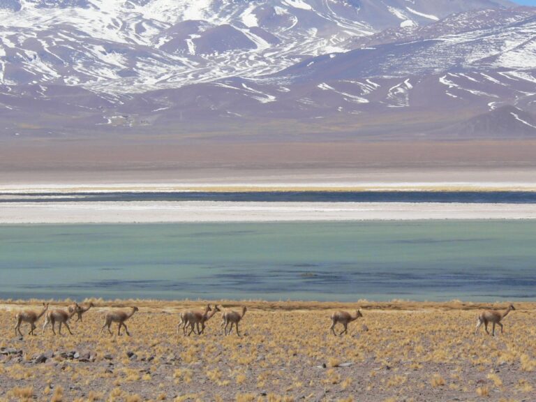 Nevado Tres Cruces