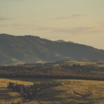 Ninhue