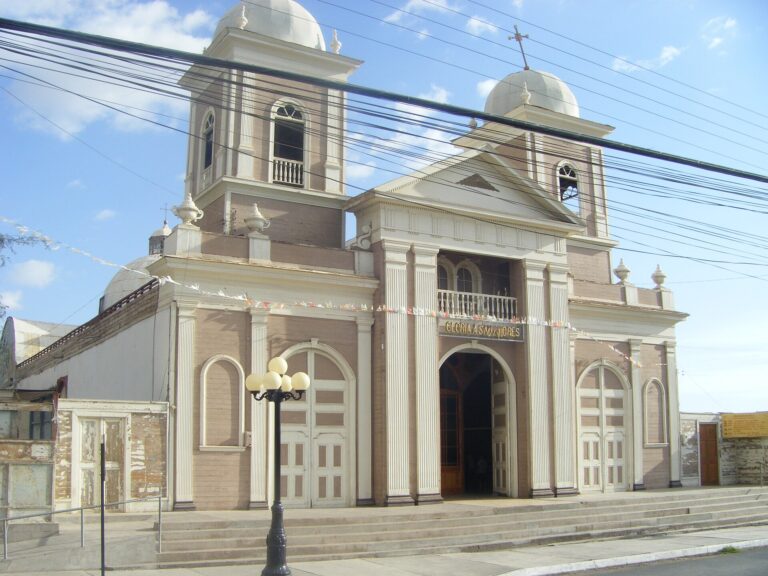 Oasis de Pica