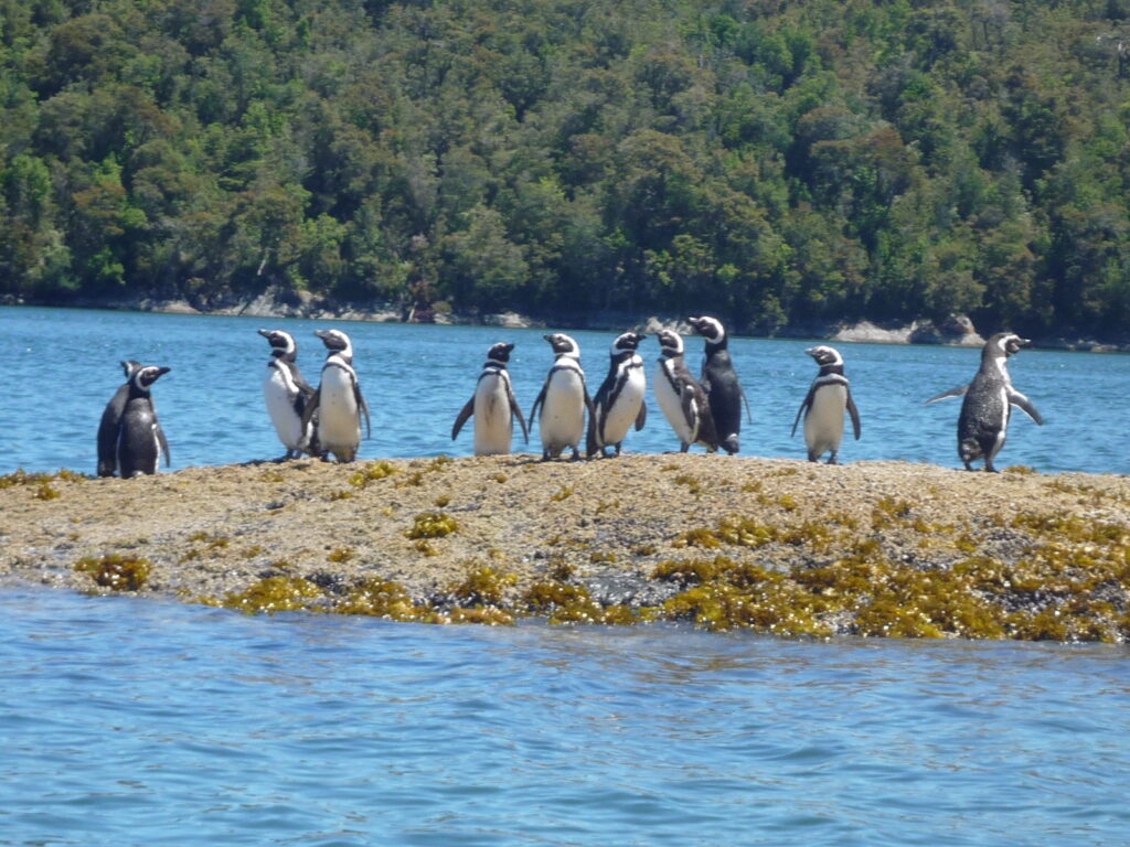 Parque Marino Tictoc-Golfo Corcovado