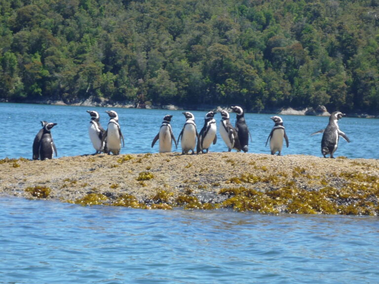 Parque Marino Tictoc-Golfo Corcovado