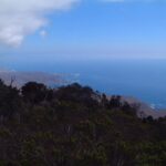 Parque Nacional Bosque Fray Jorge