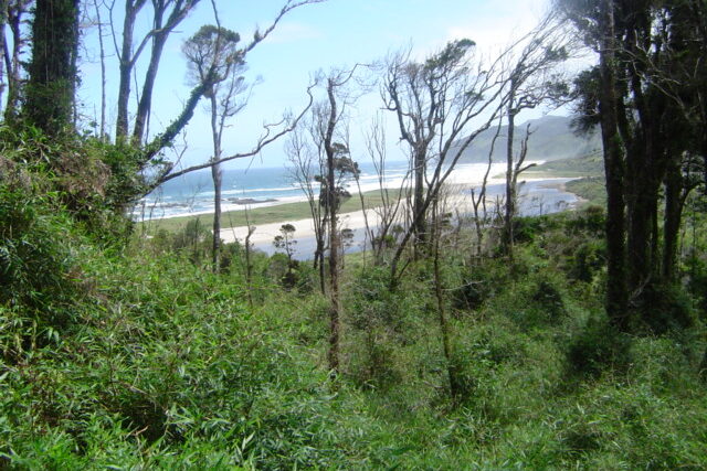 Parque Nacional Chiloé
