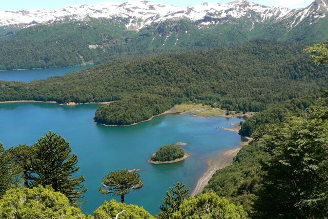 Parque Nacional Conguillío