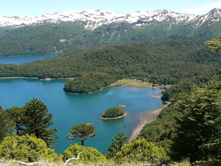Parque Nacional Conguillío