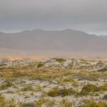 Parque Nacional Llanos de Challe
