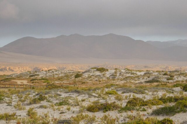 Parque Nacional Llanos de Challe
