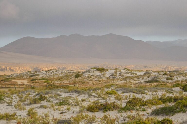 Parque Nacional Llanos de Challe