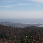 Parque Nacional Nahuelbuta