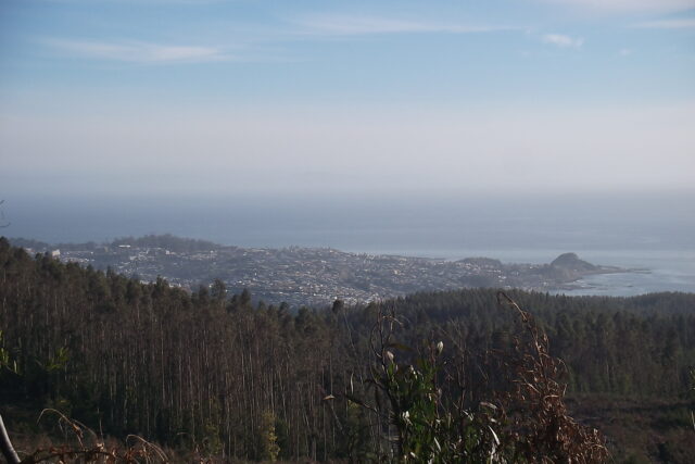 Parque Nacional Nahuelbuta