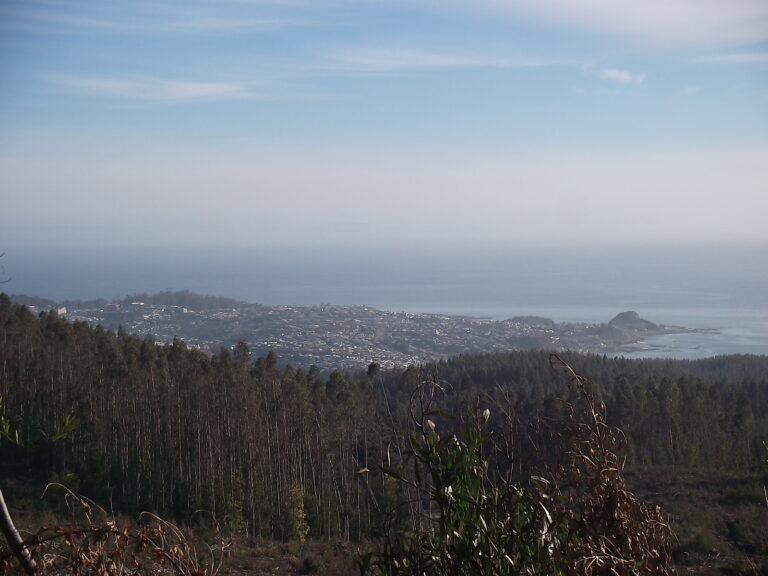 Parque Nacional Nahuelbuta
