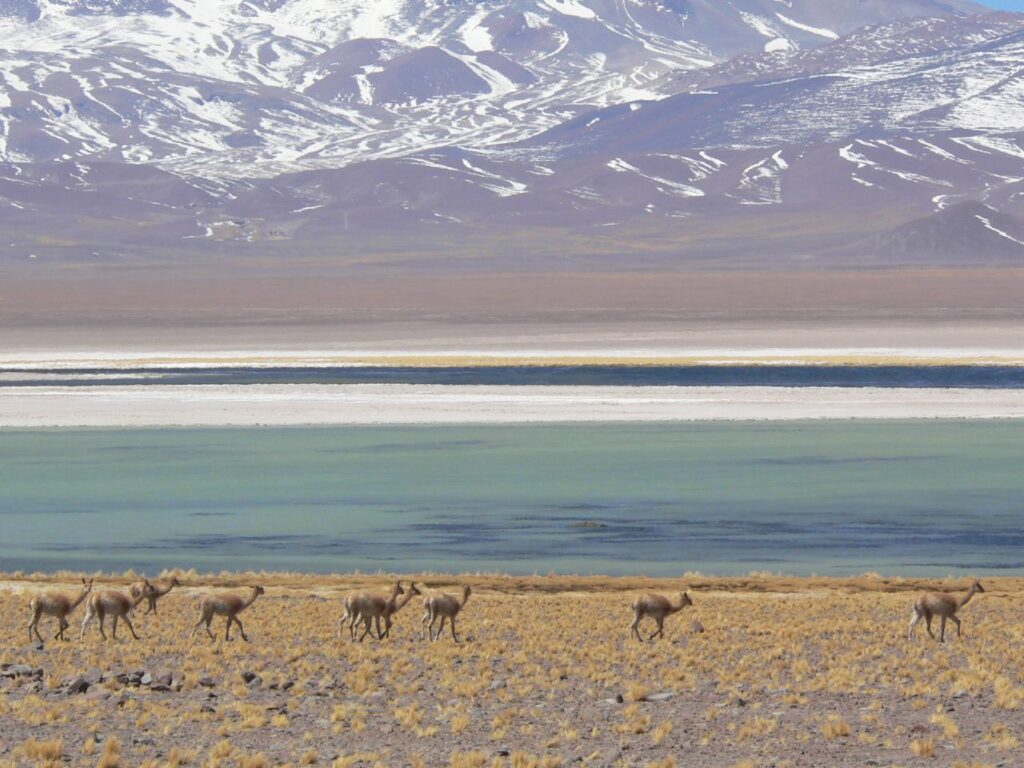 Parque Nacional Nevado Tres Cruces