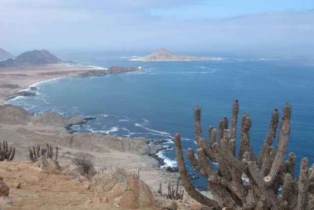 Parque Nacional Pan de Azúcar