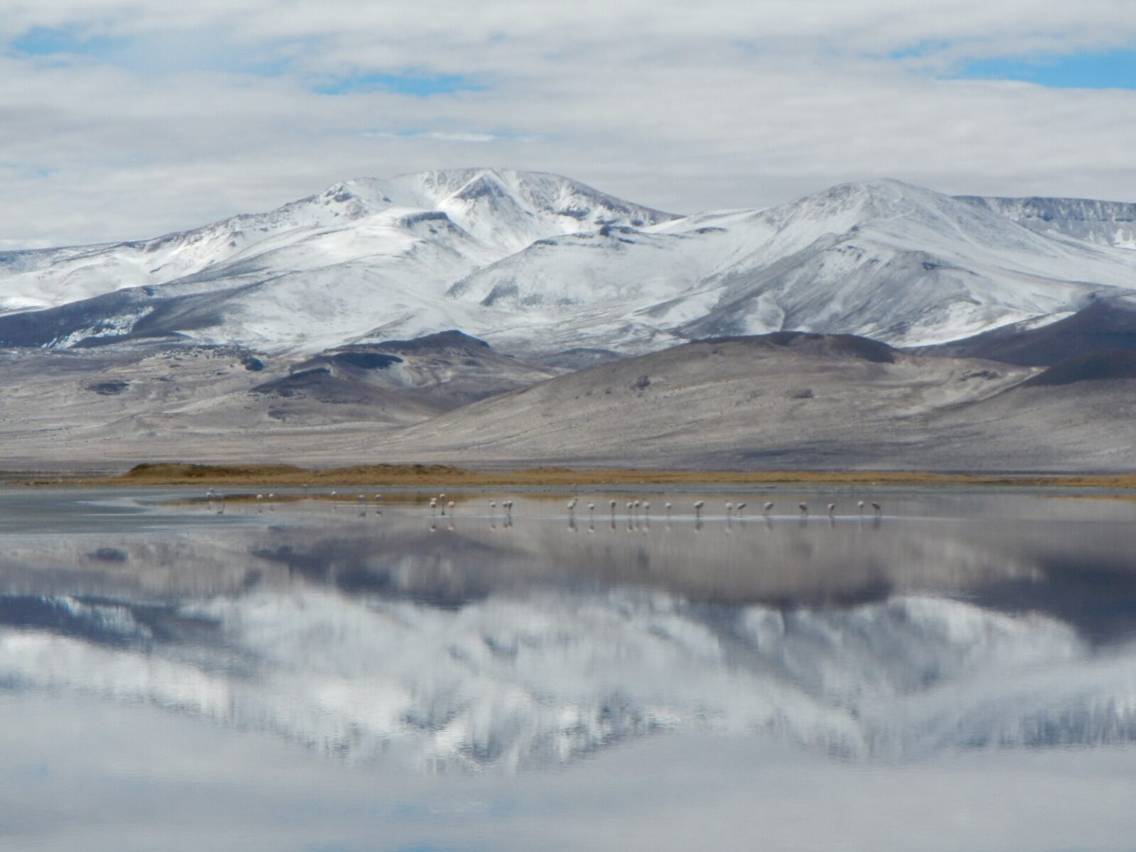 Parque Nacional Salar del Huasco
