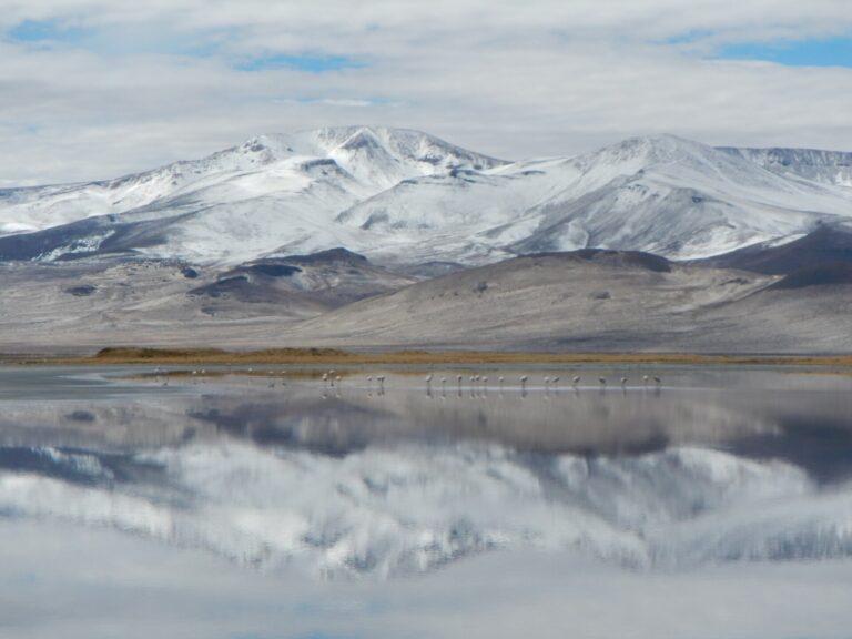 Parque Nacional Salar del Huasco