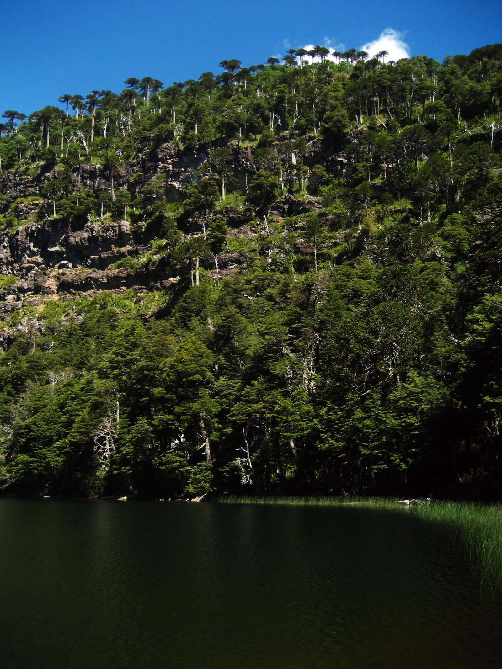 Parque Nacional Tolhuaca
