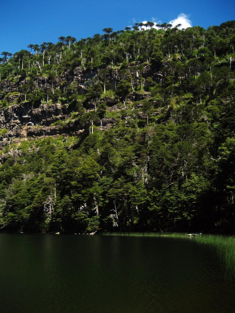 Parque Nacional Tolhuaca