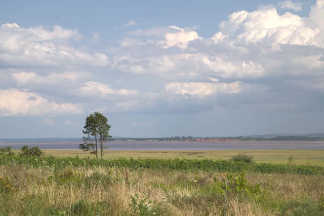 Annapolis Valley: el valle de Nueva Escocia que apuesta por el espumoso