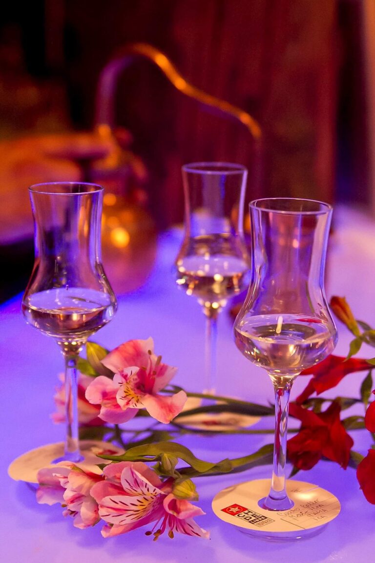 Pisco Chañaral de Carén