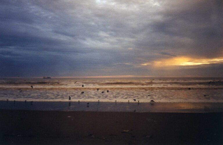 Playa Las Machas