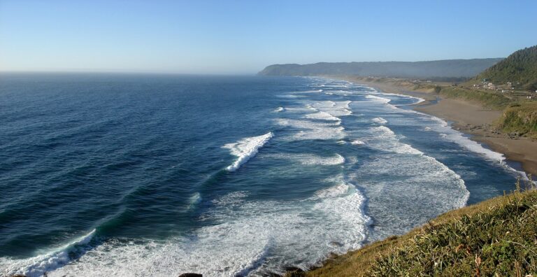 Playa de Curiñanco