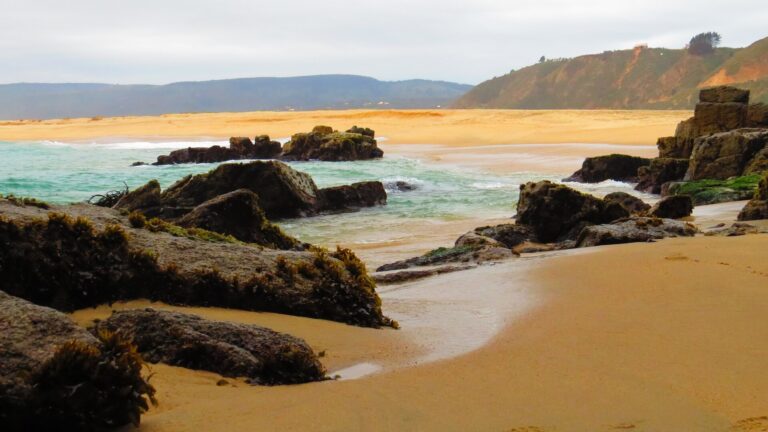 Playa de Tunquén
