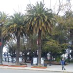 Plaza de Armas de Curicó