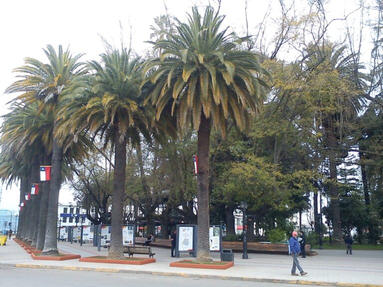 Plaza de Armas de Curicó