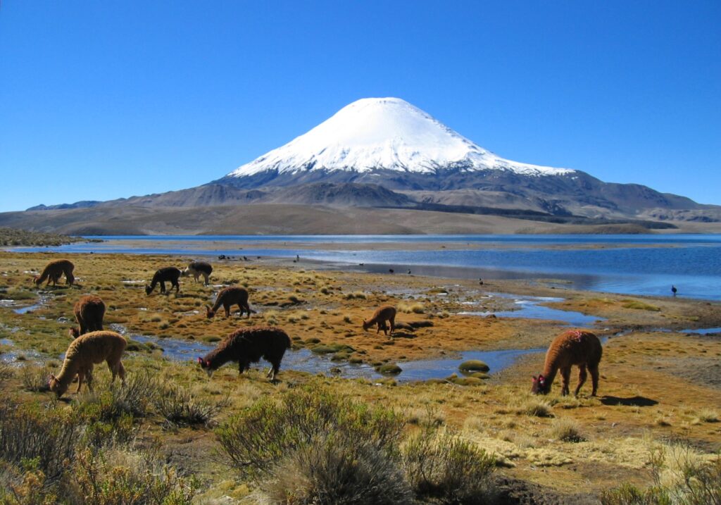 Pueblo de Parinacota