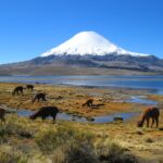 Pueblo de Parinacota