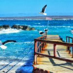 Punta de Choros