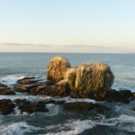 Punta de Lobos