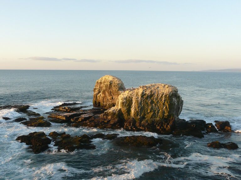 Punta de Lobos