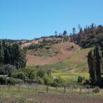 Pupuya