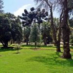 Quinta Vergara y Palacio Vergara