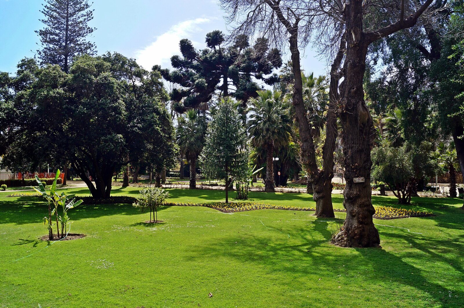 Quinta Vergara y Palacio Vergara