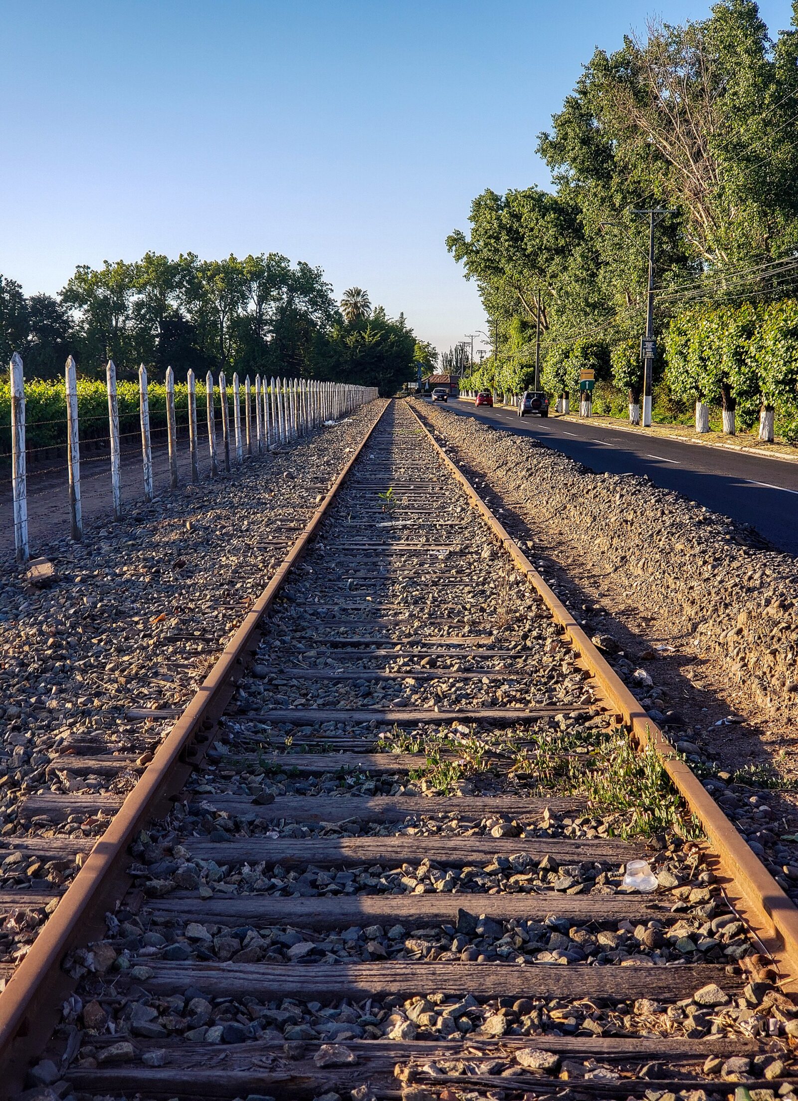 Ramal ferroviario San Fernando–Pichilemu