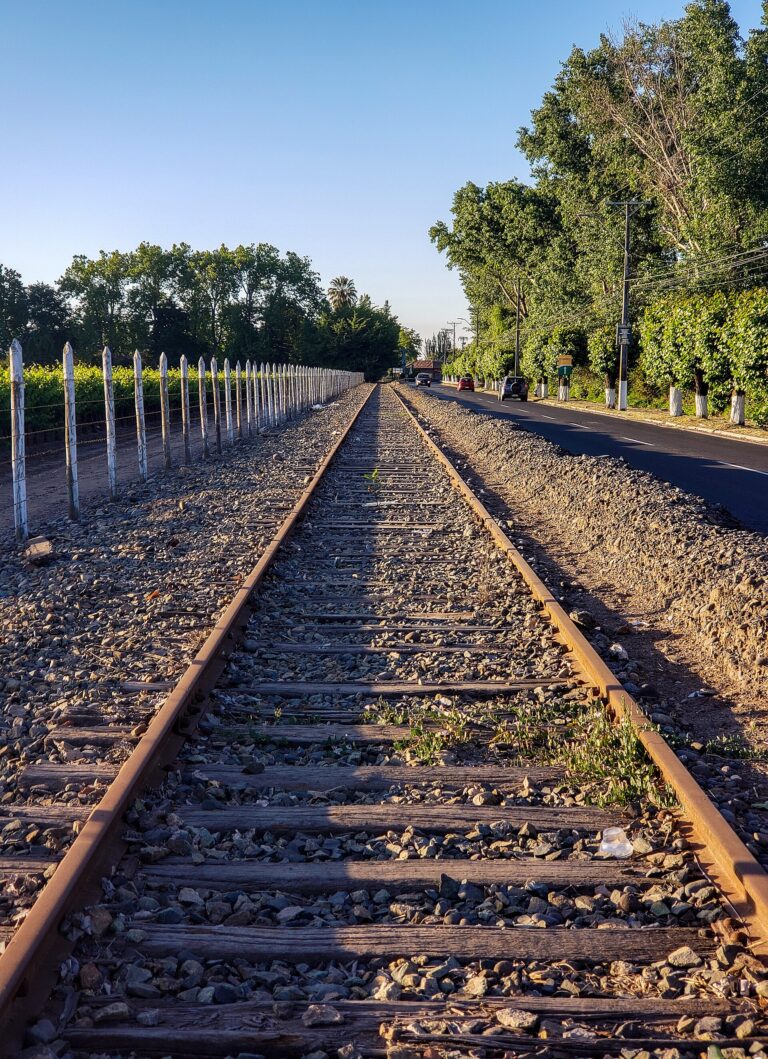Ramal ferroviario San Fernando–Pichilemu
