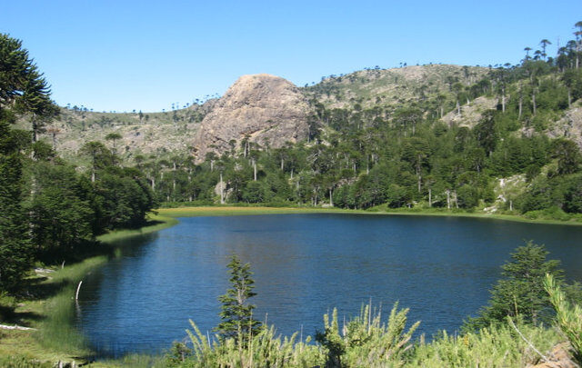 Reserva Nacional Altos de Pemehue